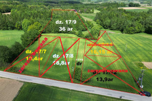 Działka na sprzedaż 3602m2 miechowski Książ Wielki Tochołów - zdjęcie 1