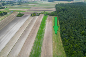 Działka na sprzedaż 1500m2 miechowski Miechów Nasiechowice - zdjęcie 2