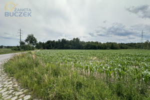 Działka na sprzedaż 6784m2 sochaczewski Sochaczew Kożuszki-Parcel - zdjęcie 3