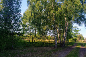 Działka na sprzedaż 1000m2 sochaczewski Młodzieszyn Adamowa Góra - zdjęcie 2