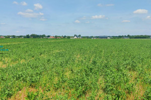 Działka na sprzedaż 1412m2 warszawski zachodni Leszno Zaborówek - zdjęcie 2