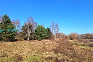 Działka na sprzedaż 3192m2 warszawski zachodni Stare Babice Borzęcin Duży - zdjęcie 1