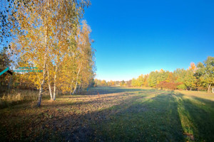 Działka na sprzedaż 5770m2 warszawski zachodni Stare Babice Klaudyn - zdjęcie 1