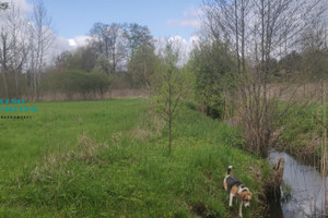 Działka na sprzedaż 5770m2 warszawski zachodni Stare Babice Klaudyn - zdjęcie 2