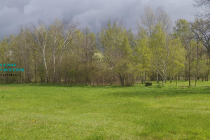 Działka na sprzedaż 5770m2 warszawski zachodni Stare Babice Klaudyn - zdjęcie 1