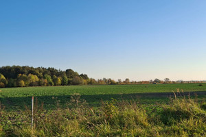 Działka na sprzedaż opolski Dąbrowa Karczów - zdjęcie 2