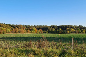 Działka na sprzedaż opolski Dąbrowa Karczów - zdjęcie 3