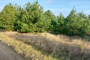 Działka na sprzedaż 1000m2 nowodworski Leoncin Nowe Grochale - zdjęcie 2