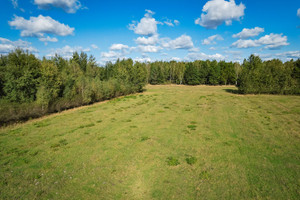 Działka na sprzedaż 5145m2 siedlecki Kotuń Sosnowe - zdjęcie 2