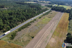 Działka na sprzedaż sochaczewski Młodzieszyn Młodzieszynek - zdjęcie 3