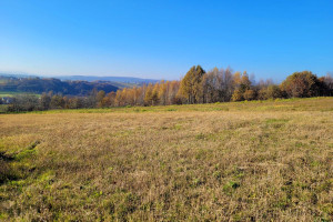 Działka na sprzedaż 3200m2 brzeski Gnojnik Biesiadki - zdjęcie 2