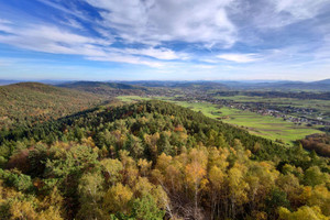 Działka na sprzedaż 20600m2 brzeski Iwkowa - zdjęcie 2