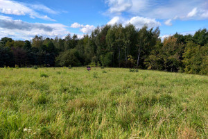 Działka na sprzedaż 1400m2 brzeski Brzesko Okocim Pogodna - zdjęcie 2