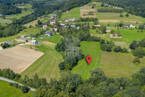 Działka na sprzedaż 8000m2 bocheński Żegocina Rozdziele - zdjęcie 3