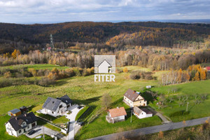 Działka na sprzedaż 10100m2 bocheński Bochnia Pogwizdów - zdjęcie 2