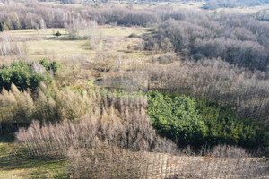 Działka na sprzedaż 11300m2 bocheński Rzezawa Dąbrówka - zdjęcie 3