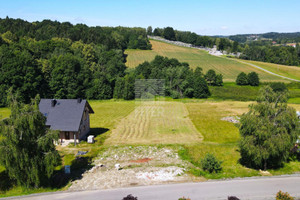 Działka na sprzedaż 2047m2 bocheński Nowy Wiśnicz Stary Wiśnicz - zdjęcie 3