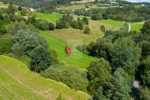 Działka na sprzedaż 8000m2 bocheński Żegocina Rozdziele - zdjęcie 2