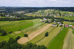 Działka na sprzedaż 9900m2 bocheński Lipnica Murowana Lipnica Dolna - zdjęcie 2