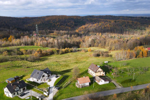 Działka na sprzedaż 10100m2 bocheński Bochnia Pogwizdów - zdjęcie 3