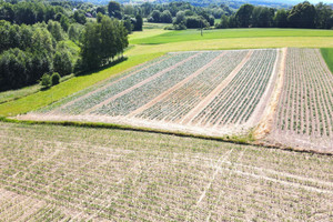 Działka na sprzedaż 5600m2 bocheński Trzciana Łąkta Dolna - zdjęcie 1