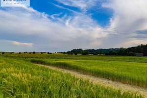 Działka na sprzedaż 635m2 tarnogórski Tarnowskie Góry Bobrowniki Śląskie-Piekary Rudne - zdjęcie 3