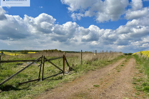 Działka na sprzedaż 1604m2 tarnogórski Zbrosławice - zdjęcie 3