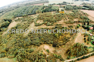 Działka na sprzedaż 3031m2 ostródzki Dąbrówno Elgnowo - zdjęcie 1