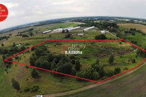 Działka na sprzedaż 84380m2 gołdapski Banie Mazurskie Żabin - zdjęcie 1