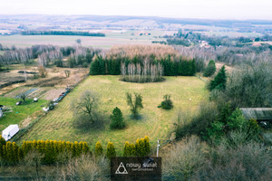 Działka na sprzedaż 11700m2 krakowski Skała Rzeplin - zdjęcie 3