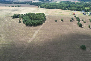 Działka na sprzedaż 1000m2 lubiński Lubin - zdjęcie 3