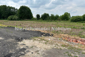 Działka na sprzedaż 3023m2 trzebnicki Wisznia Mała Szewce - zdjęcie 1