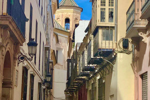 Komercyjne na sprzedaż 463m2 Andaluzja Malaga Malaga Centro Historico - zdjęcie 3