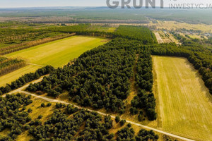 Działka na sprzedaż radomszczański Radomsko - zdjęcie 1