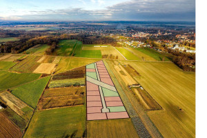 Działka na sprzedaż 511m2 olsztyński Dobre Miasto - zdjęcie 3