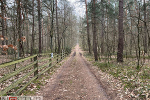 Działka na sprzedaż garwoliński Garwolin Wilkowyja - zdjęcie 2