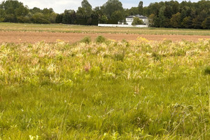 Działka na sprzedaż 6600m2 Warszawa Wilanów Powsin - zdjęcie 2