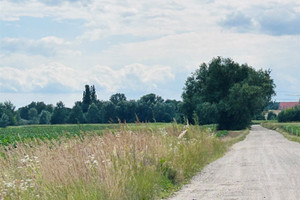 Działka na sprzedaż 5500m2 Warszawa Wilanów Powsin - zdjęcie 1