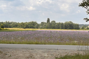 Działka na sprzedaż 21253m2 Warszawa Wilanów Powsin - zdjęcie 2