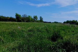 Działka na sprzedaż 1000m2 pruszkowski Nadarzyn Rusiec - zdjęcie 2