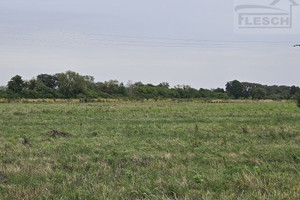 Działka na sprzedaż 61450m2 pruszkowski Nadarzyn Urzut - zdjęcie 2