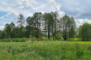 Działka na sprzedaż 3573m2 pruszkowski Nadarzyn Rusiec - zdjęcie 2