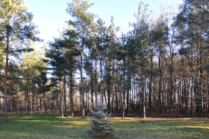 Działka na sprzedaż grodziski Żabia Wola Wycinki Osowskie - zdjęcie 4