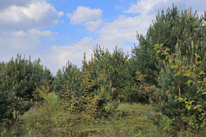 Działka na sprzedaż 1000m2 grodziski Żabia Wola Żelechów - zdjęcie 1