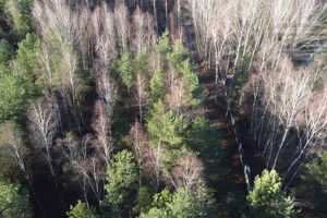 Działka na sprzedaż grodziski Żabia Wola Wycinki Osowskie - zdjęcie 4