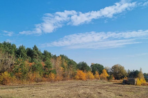 Działka na sprzedaż 1100m2 legionowski Wieliszew Skrzeszew - zdjęcie 1