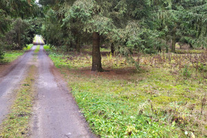 Działka na sprzedaż 2299m2 warszawski zachodni Kampinos Pasikonie - zdjęcie 1