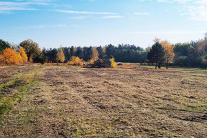 Działka na sprzedaż 1100m2 legionowski Wieliszew Skrzeszew - zdjęcie 2