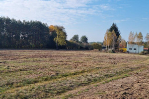 Działka na sprzedaż 1100m2 legionowski Wieliszew Skrzeszew - zdjęcie 3