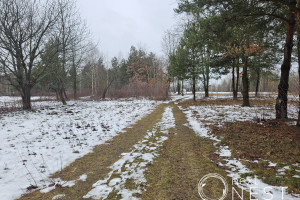 Działka na sprzedaż 1075m2 piaseczyński Prażmów Ustanów - zdjęcie 1